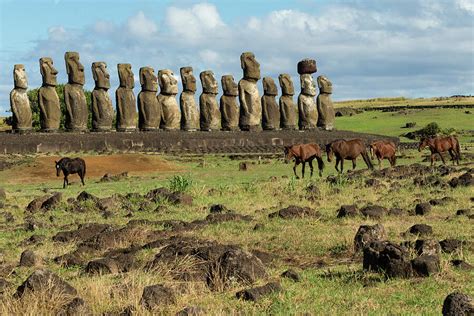 wild rapa nui